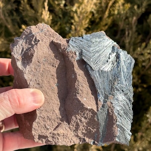 May include: A close-up of a rough, brown rock with a large, silver, crystalline formation. The rock is being held in a hand.