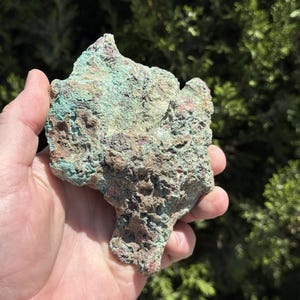 May include: A rough, irregularly shaped rock with a mix of colors, including shades of green, brown, and hints of red. The rock has a textured surface with visible holes and crevices. The background is blurred, with green foliage.