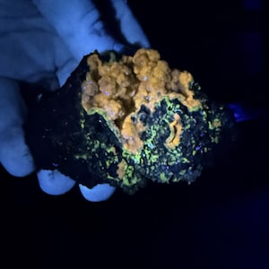 May include: A dark rock with bright orange and yellow crystalline formations. The rock's surface is rough and textured, with areas of bright green. The image is lit with blue light, emphasizing the mineral's colours.