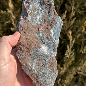 May include: A rough, brown rock with silver, sparkly crystals embedded in it. The rock is about the size of a hand.