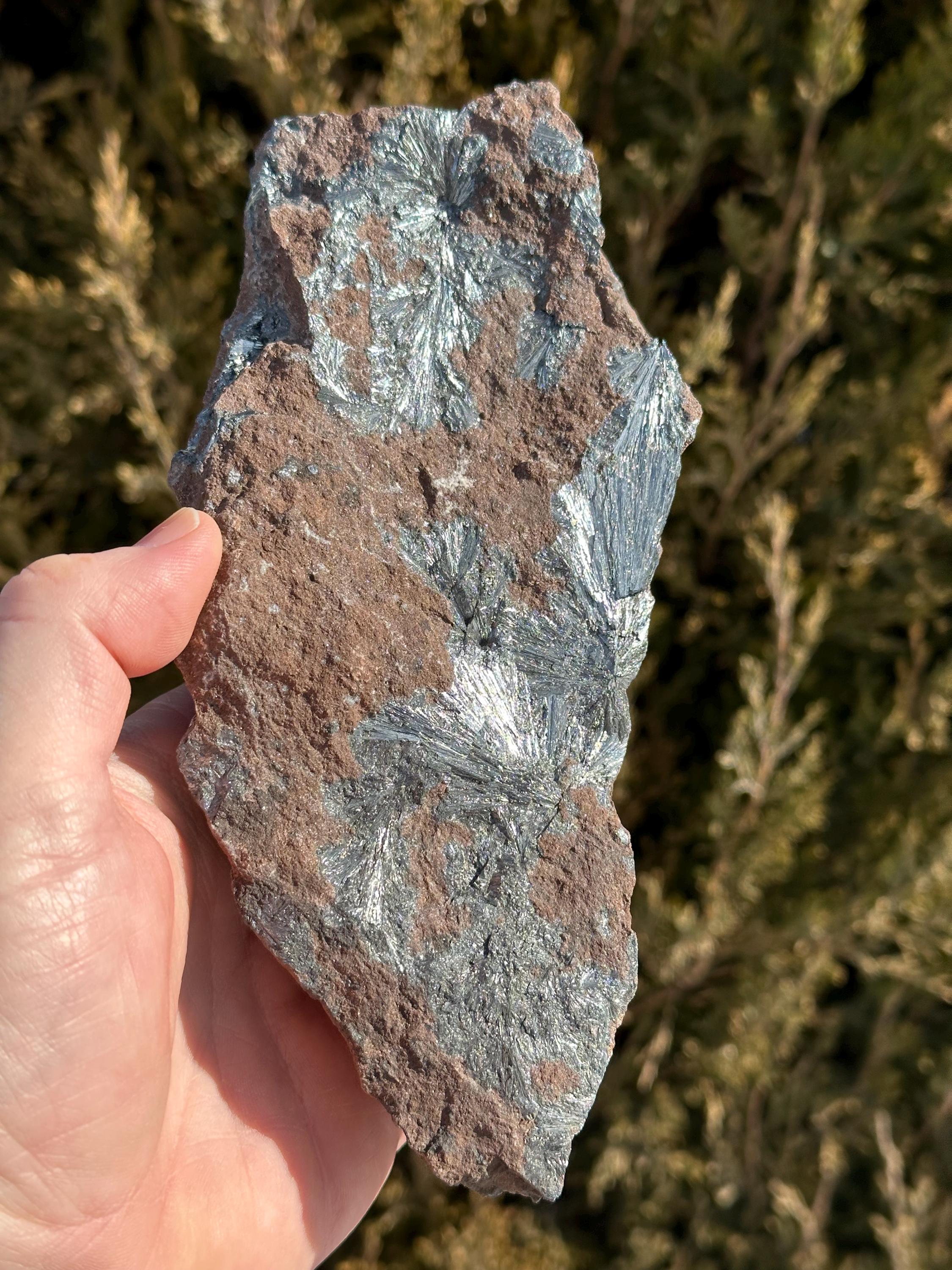 マグニー石　1400g Ka-zoinks!!! 6.3-inch Pyrolusite Crystals - Imini Mine, Ouarzazate