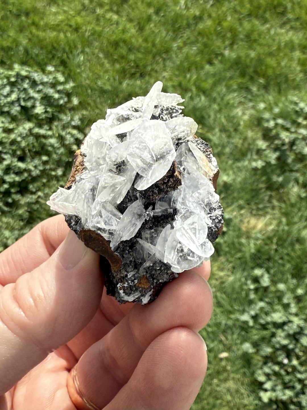 Ear Rocks Real Rocks and MICE? 2.0-inch Mouse-ear Calcite - Ojuela Mine, Mapimi ...