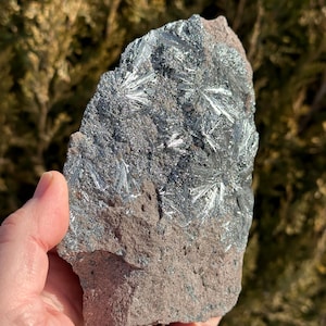 May include: A large, rough, gray rock with a silvery, crystalline surface. The crystals are arranged in a radiating pattern, giving the rock a sparkling appearance.