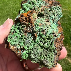 Op de afbeelding: Een close-up van een ruwe rots met een donkerbruin en oranje oppervlak. De rots is bedekt met clusters van heldergroene, getextureerde minerale formaties. De foto is buiten genomen met een groene achtergrond.