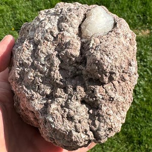 Round and For Sale! 4.2-inch UV Reactive Sonora Geode - Chihuahua, Mexico