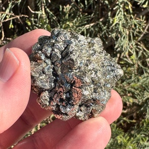 Painful Kidney Stone! 1.2-inch Marcasite Cluster - Darra Adam Khel KPK Pakistan