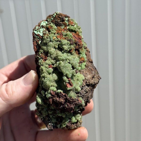 Moldy! 3.4-Inch Cuprian Austinite and Adamite - Ojuela Mine, Mapimí, Mapimí Municipality, Durango, Mexico