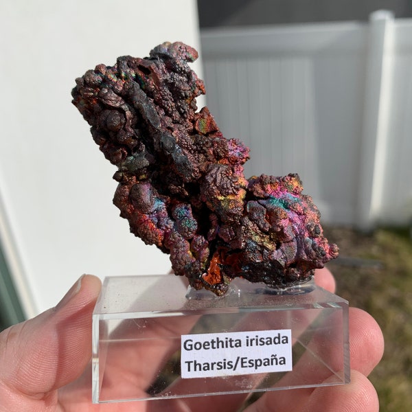 Rare 2.6-Inch Iridescent Goethite (Turgite) -  Tharsis, Spain