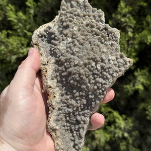 Geological Tickler! 6.3-Inch Smithsonite after Dogtooth Calcite, Ojuela Mine, Mapimi, Durango, Mexico
