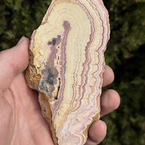 Può includere: Una sezione trasversale di una roccia con bande concentriche di colore. La roccia presenta strati di tonalità crema, rosa e beige, con un'area grigio scuro e nera. I bordi ruvidi e naturali della roccia sono visibili.