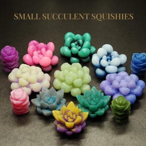 May include: A collection of colorful, small succulent squishies in various shapes and hues. The assortment includes pink, green, blue, yellow, and purple succulents, as well as rose-shaped designs. The text "SMALL SUCCULENT SQUISHIES" is displayed at the top.
