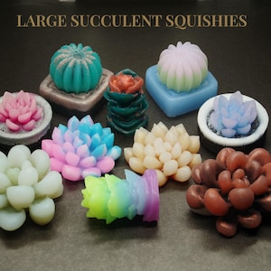 Large Succulent Squishies