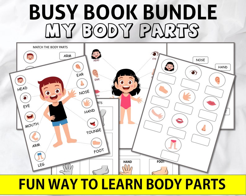 Body Parts Printable For ToddlersMatch The Body Parts Etsy