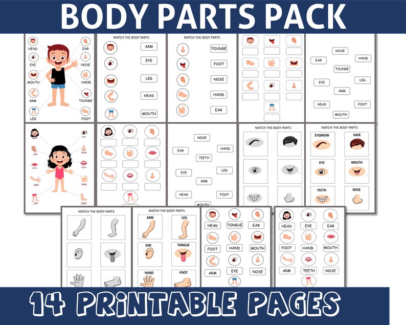 Body Parts Printable For ToddlersMatch The Body Parts Etsy