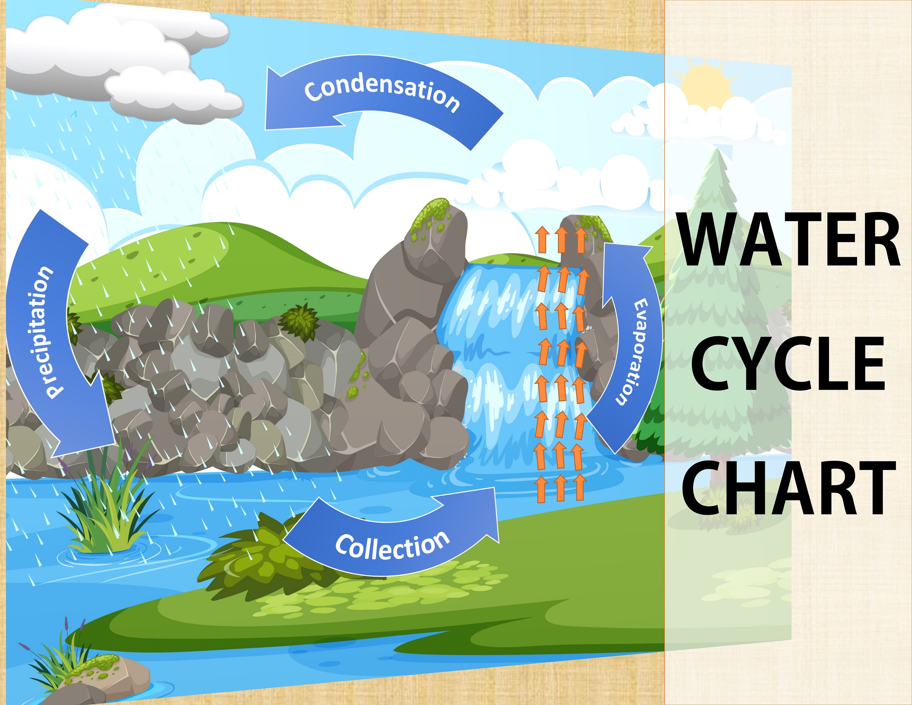 Water Cycle Activity Kids Science WorksheetNature | Etsy