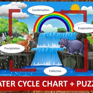 Water Cycle Activity, Kids Science Worksheet,Nature Study,Science Game,Homeschool,Elementary Science,Matching Game,Kindergarten,Preschool