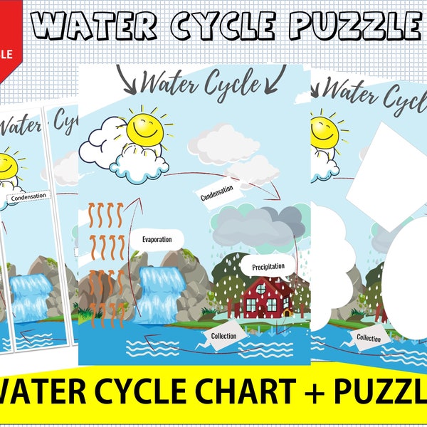 Puzzle sur le cycle de l’eau, activité pour enfants sur le cycle de l’eau, étude de la nature, jeu scientifique, école à la maison, sciences élémentaires, jeu d’association, maternelle, préscolaire