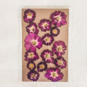 Dried Pressed Rose Flowers Set for Resin Art (15pcs), Scrapbooking, DIY Crafts, Candle Making, Botanical Decor, Journaling, Weddings