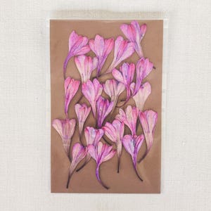 Dried Pressed Flowers Set for Resin Art (20pcs), Watsonia, Bugle-lily, Scrapbooking, DIY Craft, Candle, Botanical Decor, Journaling, Wedding