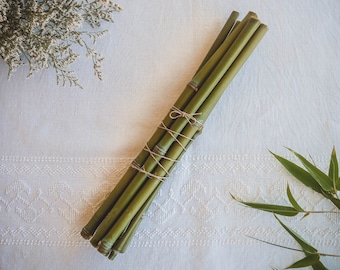 Bamboo Sticks Bundle: Dried Wooden Branches, Witchcraft Altar Supplies