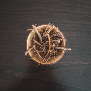 Dried Dandelion Root