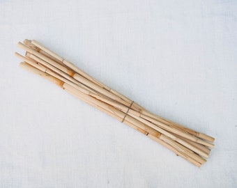 Lot de bâtons de canne sauvage, bâton de roseau séché, bâtons de bois séchés - fournitures de sorcellerie, Magick, autel païen, cadeau, cadeau, Arundo donax