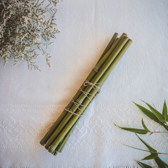 Bamboo Sticks Bundle: Dried Wooden Branches, Witchcraft Altar Supplies