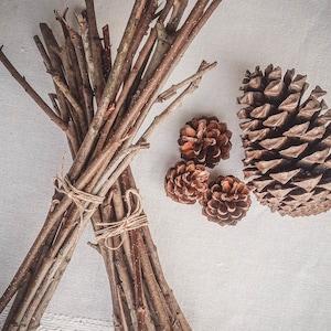 Rowan Wooden Sticks Bundle: Dried Branches for Witchcraft Altar Supplies - Ash Sticks