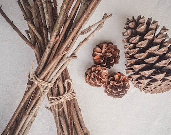 Bundle of Wooden Rowan Sticks, Dried Ash Branches - Witchcraft Supplies, Magick, Pagan Altar, Ritual, Yule Gift, Christmas Present