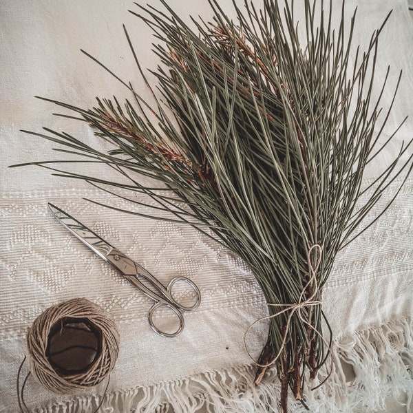 Brindilles de pin, de cèdre et d'eucalyptus séchées / Petites branches