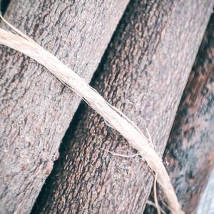 bay leaf sticks
