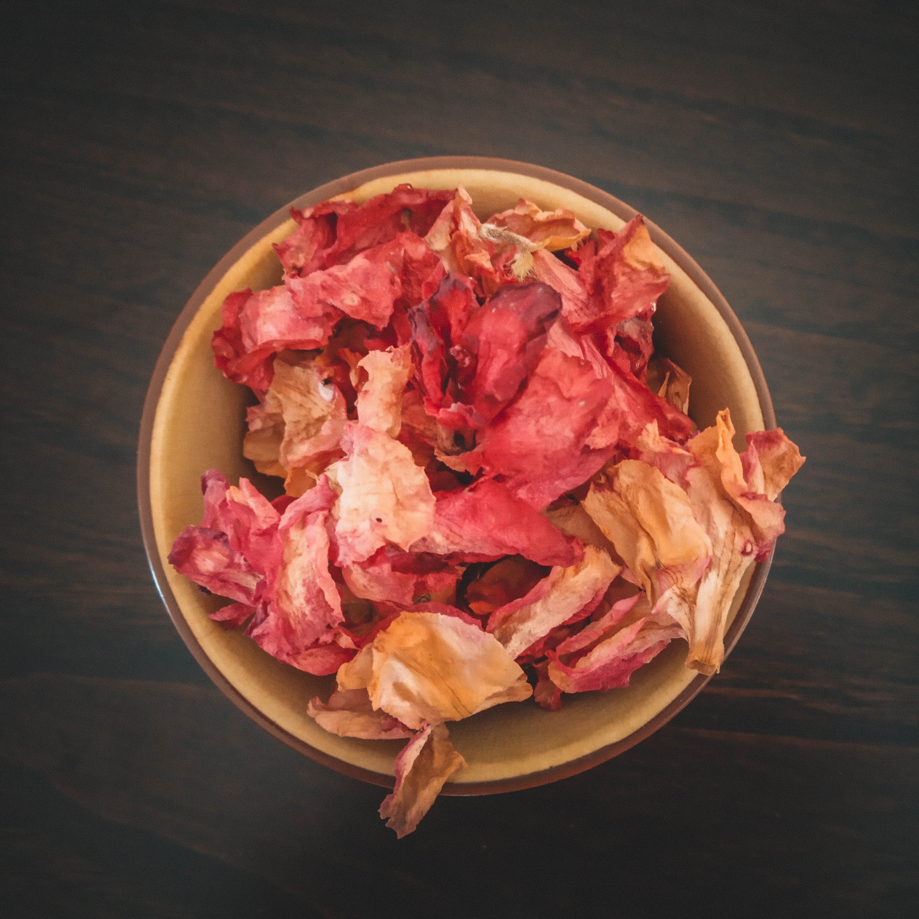 Dried Azalea Flowers