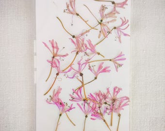 Dried Pressed Pink Spider Lily Flowers: Botanical Resin Art Supplies