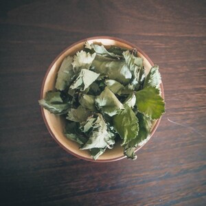 Dried Stinging Nettles