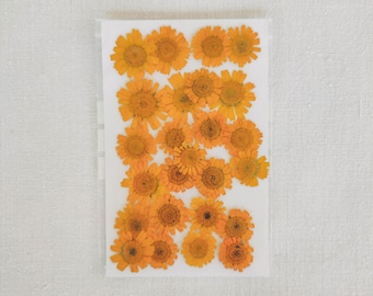 Dried Pressed Marigold Flowers: Resin Art, Scrapbooking, Botanical Decor & DIY Craft Supplies (25pcs Set)