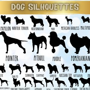Hond silhouetten SVG-bundel, 100 hondenrassen clipart SVG PNG, puppy silhouet snijden bestanden, huisdier minnaar ontwerpen voor Cricut en Silhouette projecten