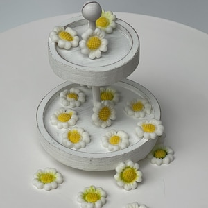 White Fondant Flower Cake Toppers: Edible Garden Set of 12