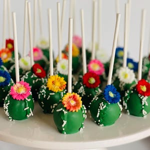 May include: A collection of green cake pops decorated with colorful edible flowers and white sprinkles, each on a white stick. The cake pops are arranged on a white serving platter, creating a festive and visually appealing dessert.