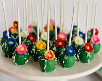 Cactus Cake Pops  Fiesta Party Favors, Birthday, Baby Shower, Wedding  Dessert Table Treats - Etsy