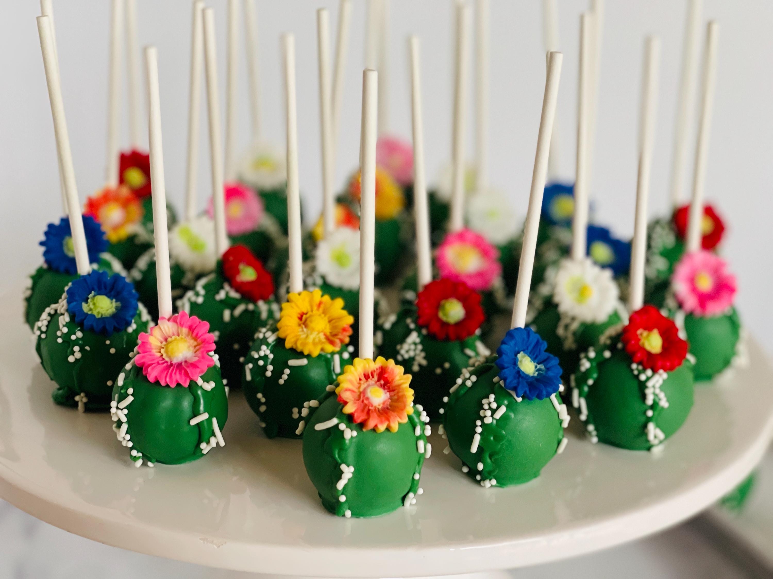 Cactus Cake Pops  Fiesta Party Favors, Birthday, Baby Shower, Wedding  Dessert Table Treats - Etsy