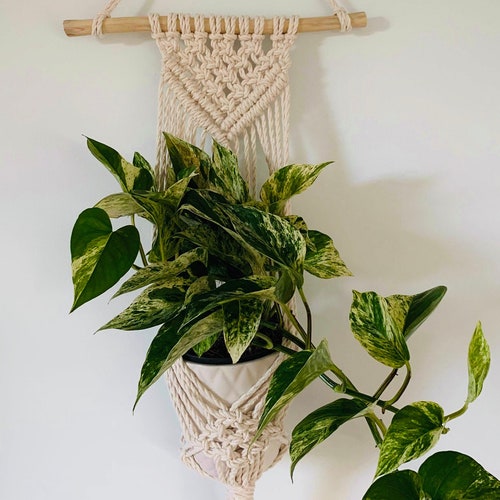 Small Jute Wall Hanging Planter Handmade Crochet Eco Etsy UK