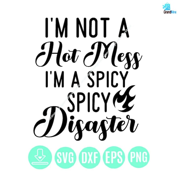 I'm Not A Hot Mess I'm A Spicy Disaster Sarcastic T-Shirt I'm Not A Hot Mess I'm A Spicy Disaster Sarcastic T-Shirt