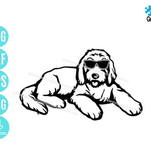 Goldendoodle SVG: Hund Vektor Clipart (digitaler Download)