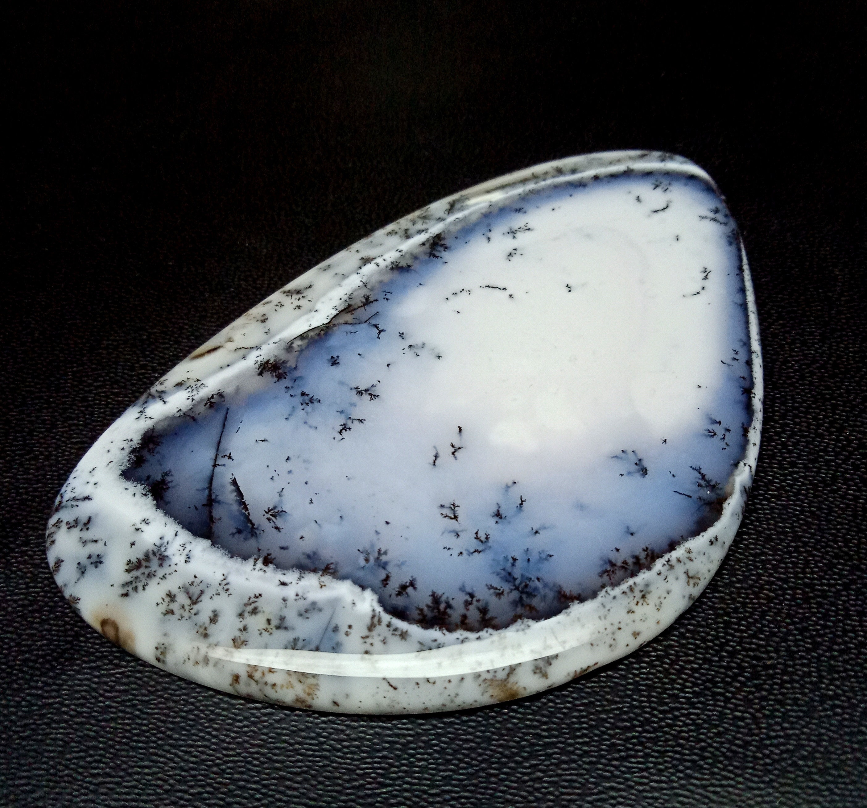 adult dendrite opal adult dendrite opal