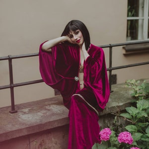 May include: A woman wearing a long, dark red velvet robe with a gold and silver belt. She is sitting on a stone wall with a lush green plant behind her.