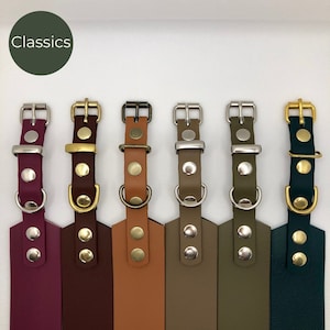 Collar clásico BioThane para perros: galgo italiano, whippet, galgo, lebrel, collar para perros, cola de pez, impermeable, lavable, flexible