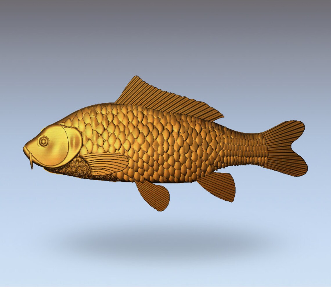 3d carp free full download 3d carp free full download