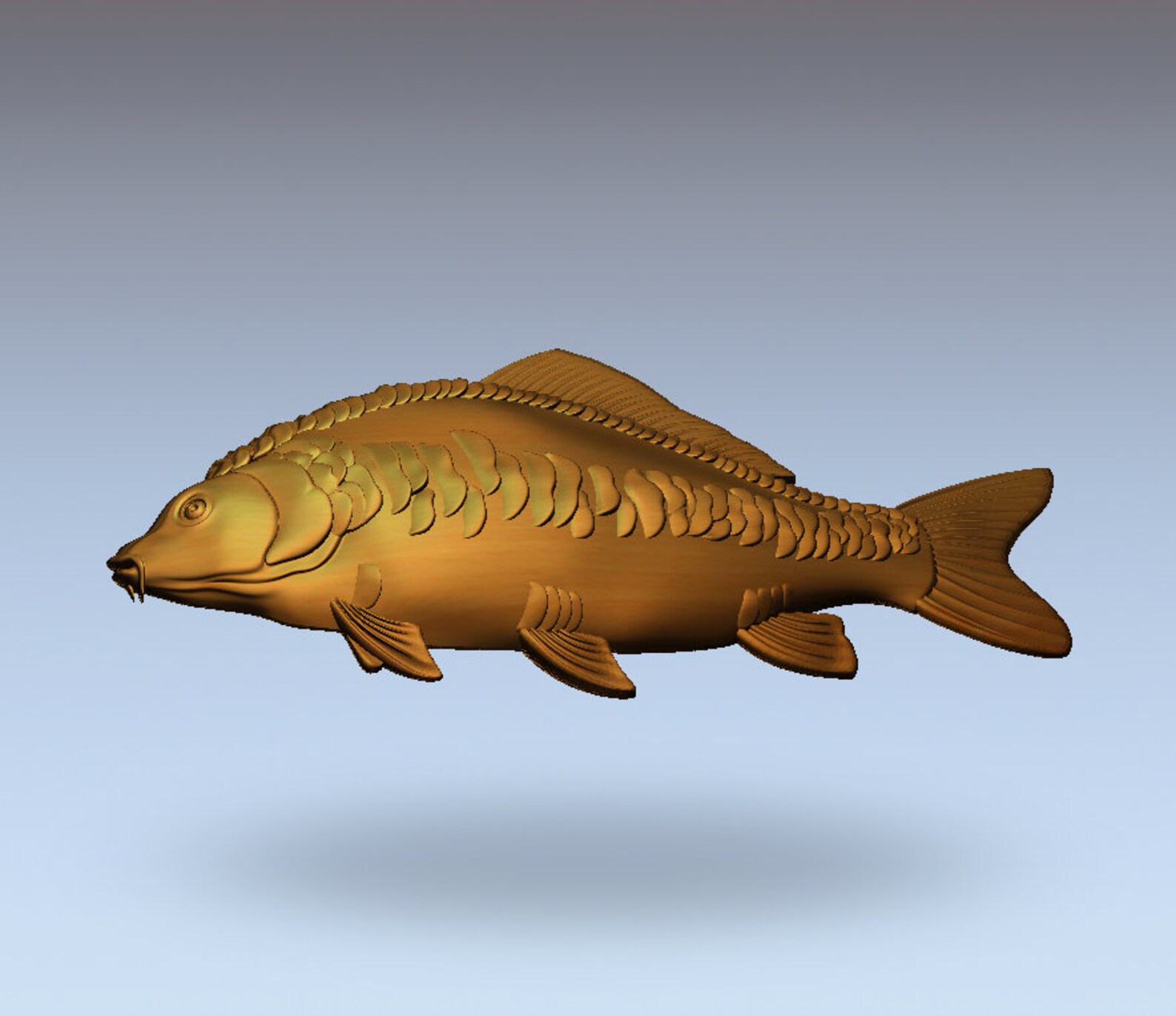 3d carp free download 3d carp free download