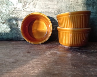 French Oven Safe Ceramic Souffle Baking Ramekin Casserole Dish Set 3 Farmhouse Small Bakeware Rustic Style MCM digoin france pottery brown