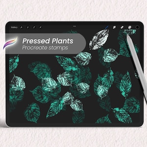 Peut inclure: Une tablette numérique affichant un ensemble de tampons Procreate de plantes pressées. Les tampons présentent un fond sombre avec des motifs de feuilles vertes et blanches. Le texte "Pressed Plants Procreate stamps" est affiché à l'écran.